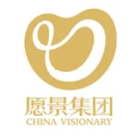 China Visionary Group