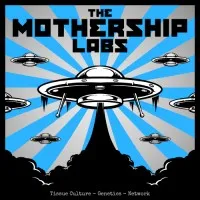The Mothership Labs The Mothership Labs