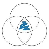 GBM Consulting Group