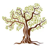 Olive Tree Family Counseling, PLLC Olive Tree Family Counseling, PLLC