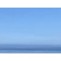 Procam International Inc