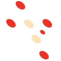 Catholic Social Services Victoria (CSSV)