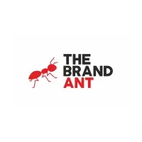 The Brand Ant The Brand Ant