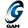 GAM Enterprises, LLC GAM Enterprises, LLC