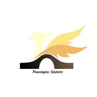 Phoenixgate Solutions 凤凰桥
