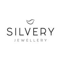 Silvery Jewellery