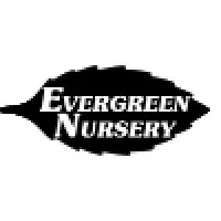 Evergreen Nursery