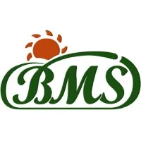 B.M.S. srl B.M.S. srl