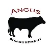 Angus Measurement Services, LP Angus Measurement Services, LP