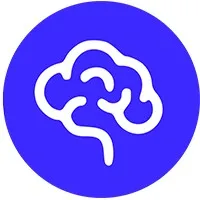 Brainvine