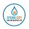 Spring City Realtors And Estates Limited