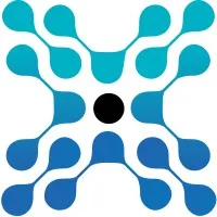 Oxalis Solutions