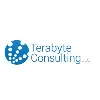 Terabyte Consulting, LLC. Terabyte Consulting, LLC.