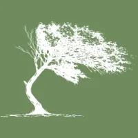 Bent Tree Marketing Bent Tree Marketing