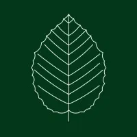 Hazel Advisors