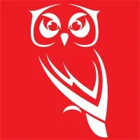 WISE Security Solutions