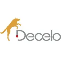 Decelo corporativo Decelo corporativo