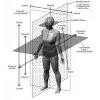 Human Dimensioning Laboratory - University of Minnesota Human Dimensioning Laboratory - University of Minnesota