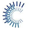 CFO Solutions CFO Solutions