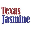 Texas Jasmine Wholesale Texas Jasmine Wholesale