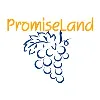 PromiseLand Financial Advisory PromiseLand Financial Advisory
