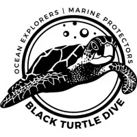 Black Turtle Dive