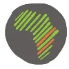 African Impact Foundation African Impact Foundation