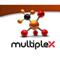 Multiplex Capital Ltd