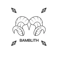 Bamblith Pte Ltd.