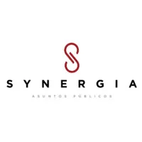 Synergia Asuntos Públicos®