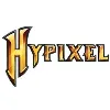 Hypixel Inc Hypixel Inc