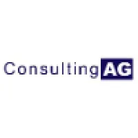 Consulting AG