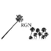RGN Accountancy Group, Inc. RGN Accountancy Group, Inc.