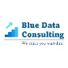 Blue Data Consulting Blue Data Consulting