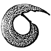 Fiona Robbé Landscape Architects