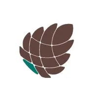 Pine Technologies Pvt Ltd