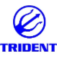 Trident Construction Solutions