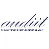 Audiit Audiit