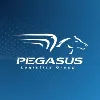 Pegasus Logistics Group Pegasus Logistics Group