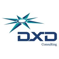 DXD Consulting Inc.