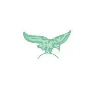 Eagle Medical Systems Pvt. Ltd.