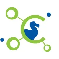 Codect Ltd