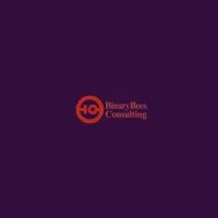 BinaryBees Consulting
