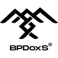 Bootstrap Paradox (OPC) Private Limited