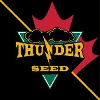 Thunder Seed Inc.