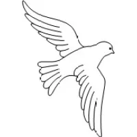 CRF First Choice Inc.