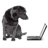 PlanetMagpie IT Support PlanetMagpie IT Support