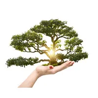 Regenerative Processing Plant, LLC