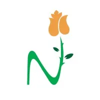 New Bloom Solutions & New Bloom Media