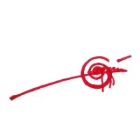 Eugene Tssui Associated Architects and City Planners